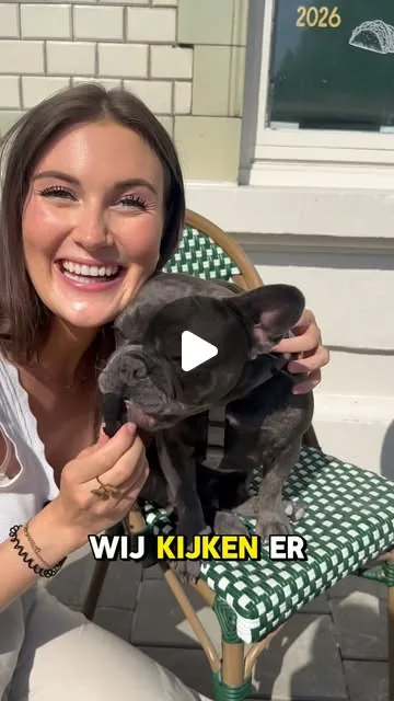 Frankies Instagram reel