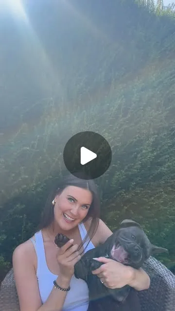 Frankies Instagram reel